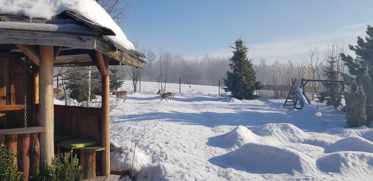 Dom Grabowa Z Sauna I Podgrzewanym Basenem Gilowice  Exterior foto